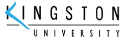 金斯顿大学